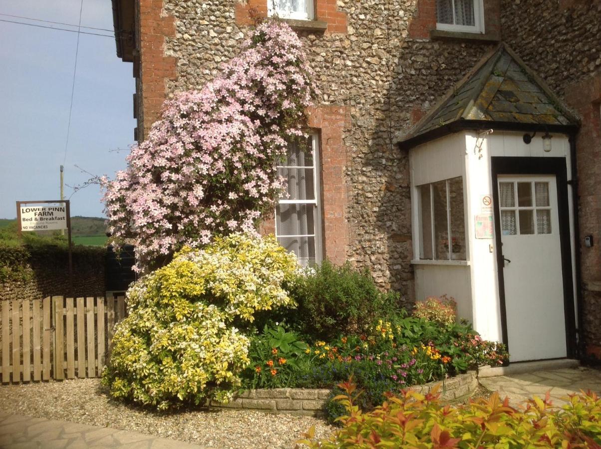 Lower Pinn Farm Sidmouth Dış mekan fotoğraf