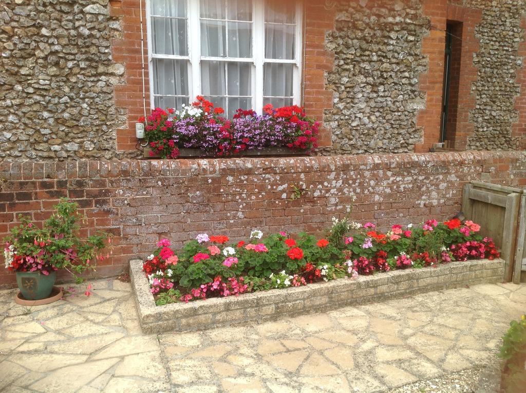 Lower Pinn Farm Sidmouth Dış mekan fotoğraf