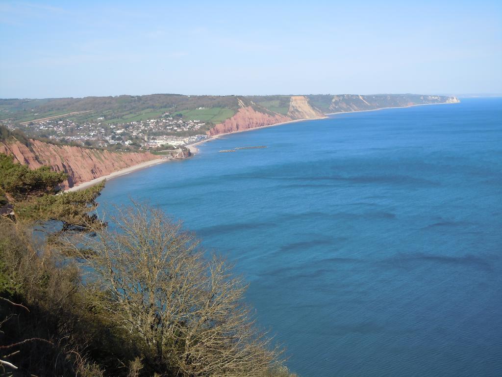 Lower Pinn Farm Sidmouth Dış mekan fotoğraf